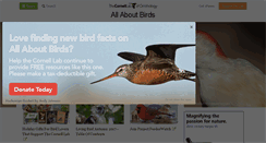 Desktop Screenshot of allaboutbirds.org