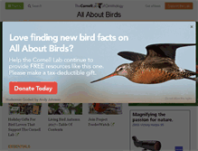 Tablet Screenshot of allaboutbirds.org